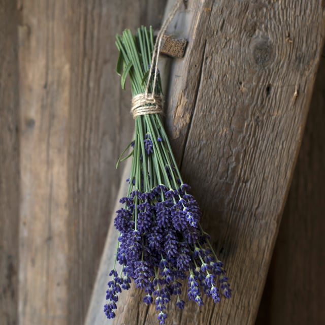 floriss-lavendel-bukett.jpg