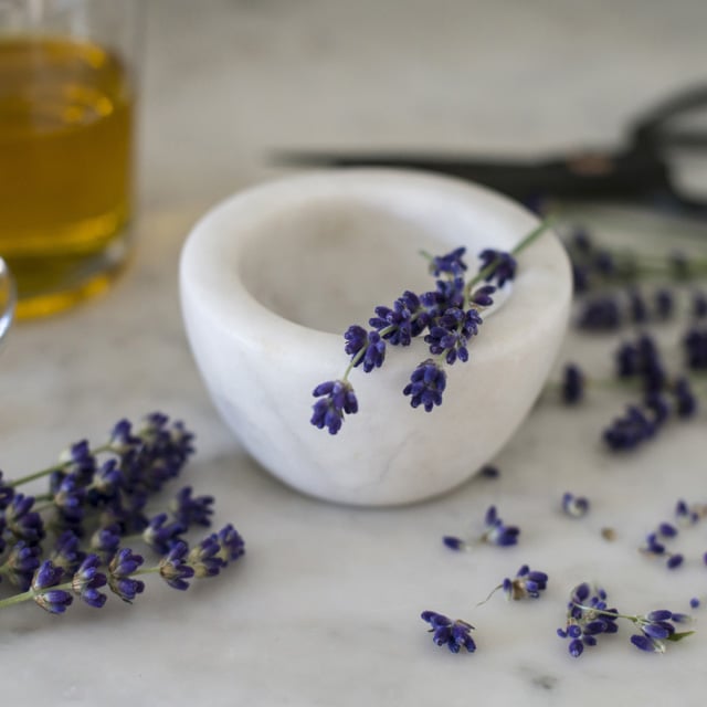 floriss-lavendel-morte.jpg