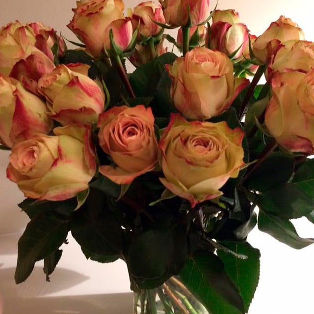 floriss-roser-upper-secret.jpg