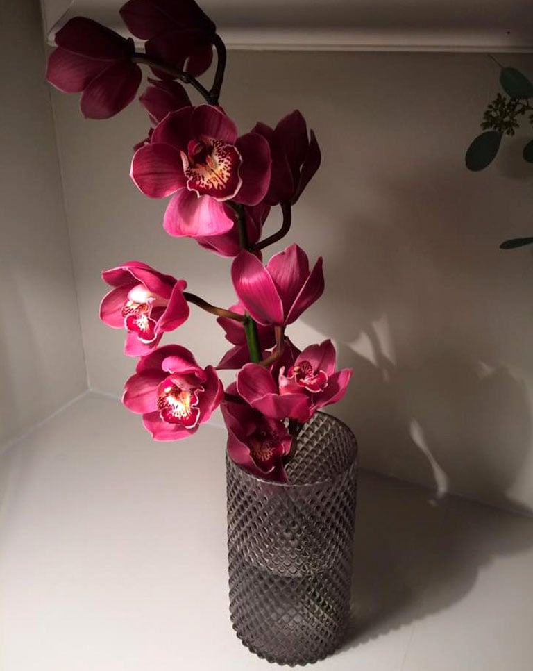floriss-orkide-cymbidium-2.jpg