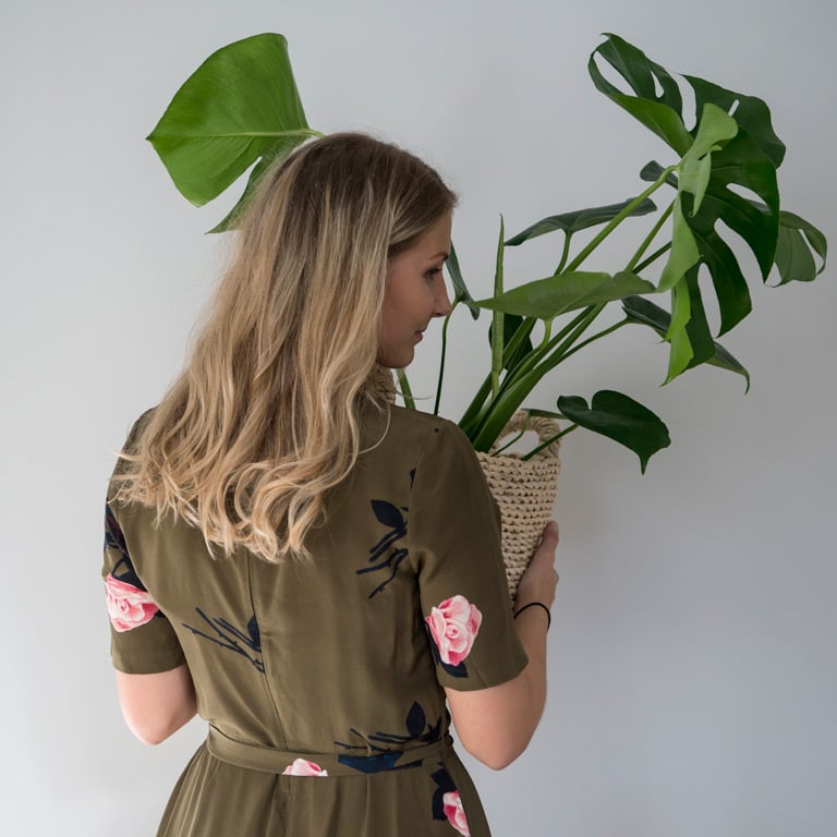 monstera-vindusblad-3.jpg