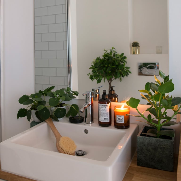 pilea-kinesisk-pengeplante-2.jpg