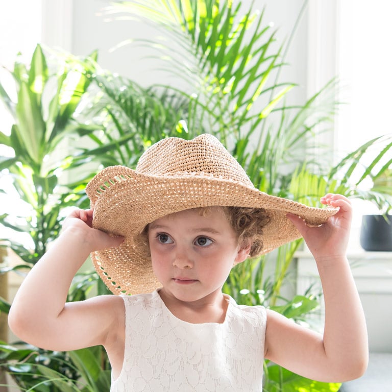 arecapalme-sommerfuglpalme-2.jpg