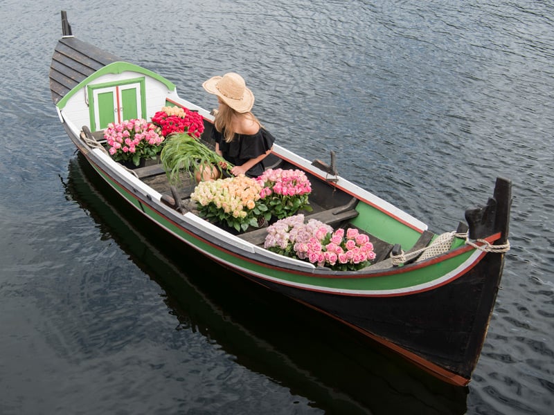 floriss-sommerblomster-favorittroser.jpg