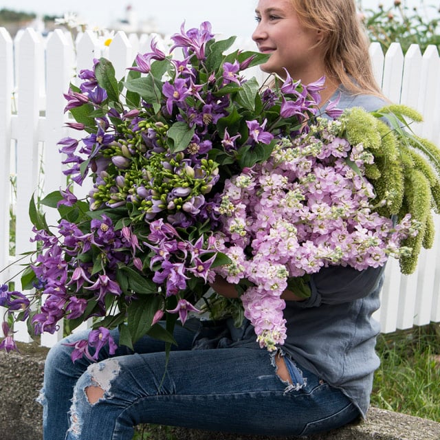 floriss-sommerblomster-klematis-levkøyer-vakre-straa.jpg