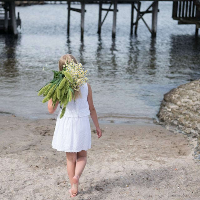 floriss-sommerblomster-tanacetum-solsikker-straa.jpg