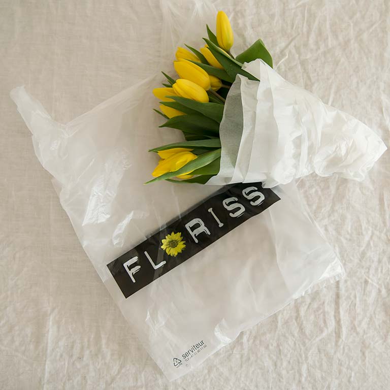 Floriss_poser5.jpg