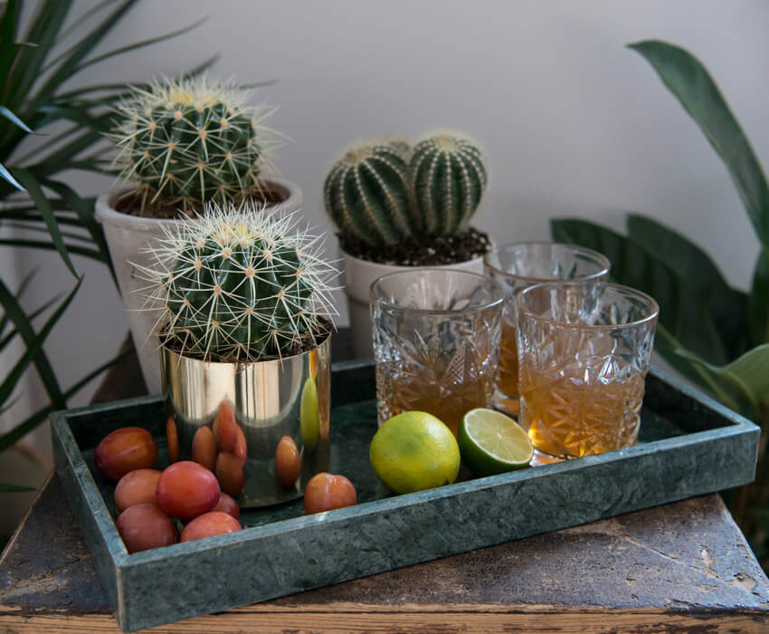 floriss-kaktus-fat-med-frukt-og-glass.jpg