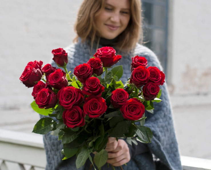 floriss-rode-roser-til-jul-favorittroser-upper-class.jpg