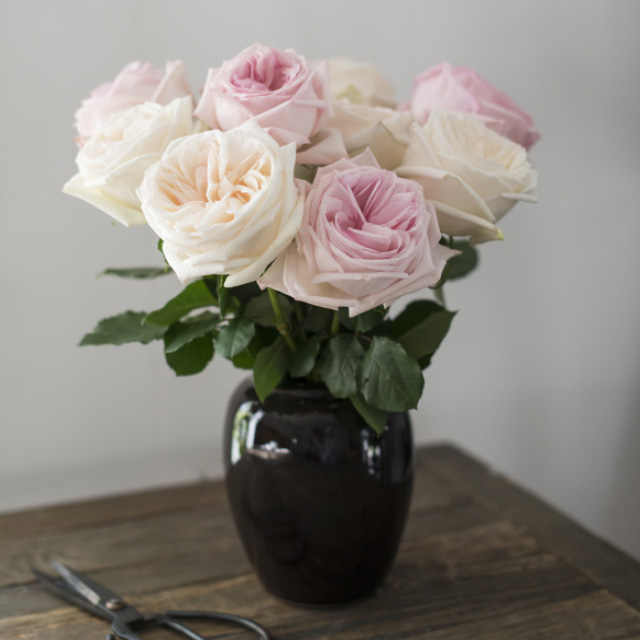 hvite-rosa-duftroser-i-vase.jpg