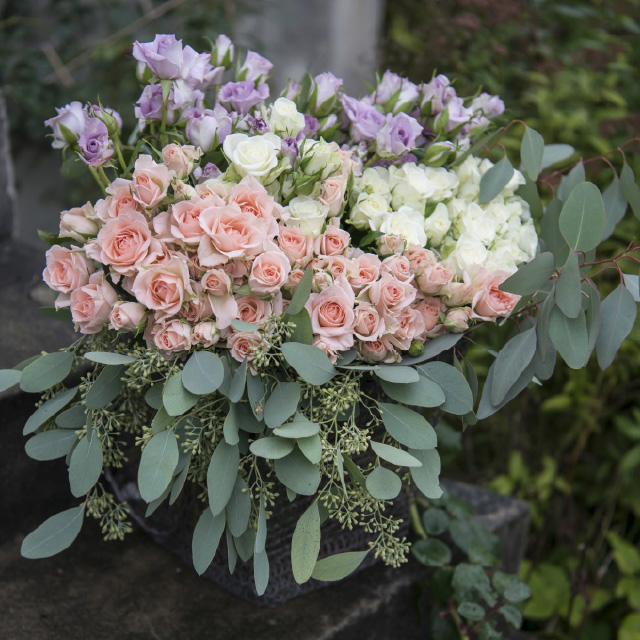 lilla-rosa-hvite-duftrose.jpg