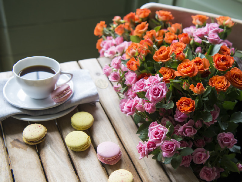 oransje-rosa-roser-pa-bord.jpg