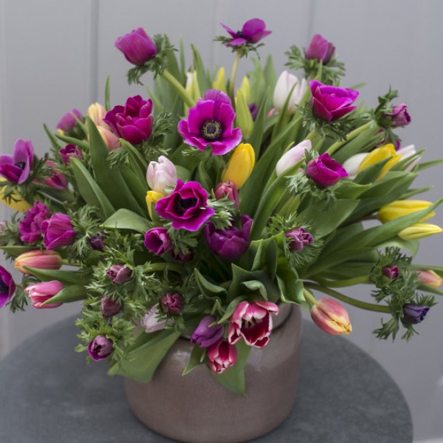 Anemoner-og-tulipaner.jpg