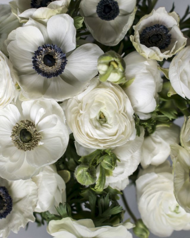 Hvite-Anemoner-i-vakker-bukett-med-hvite-ranunkler.jpg