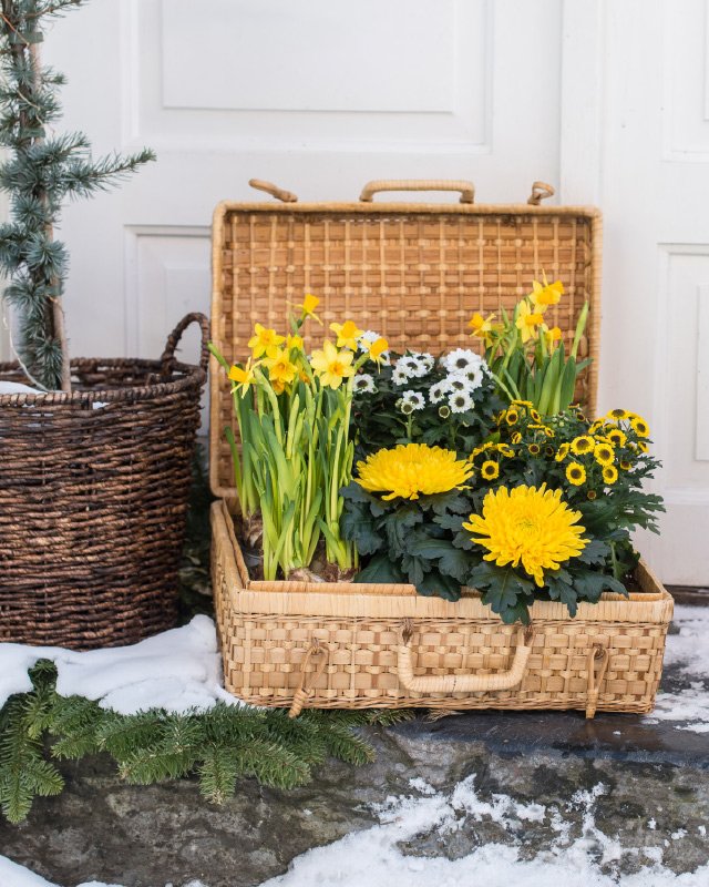 Kurven-full-av-vaarblomster.jpg