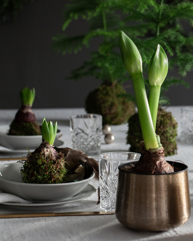floriss-svibel-borddekning-1.jpg