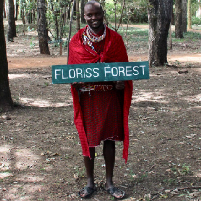 floriss-forest-1.jpg