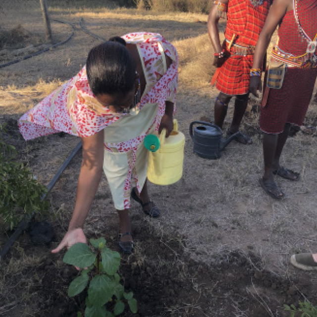 kjop-et-tre-plant-et-tre-masai-kvinner.jpg