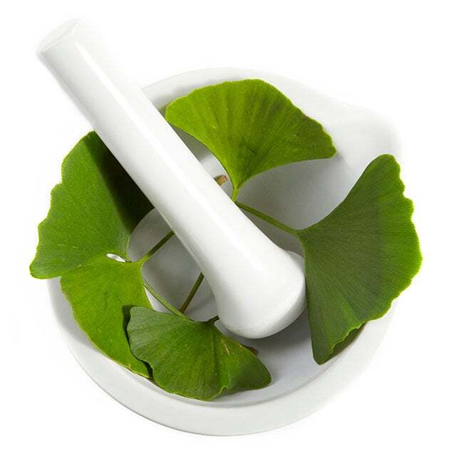 ginko-2.jpg