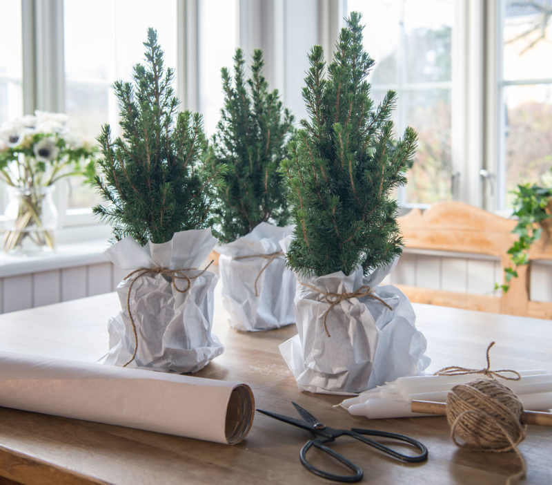 Du gr&oslash;nne glitrende