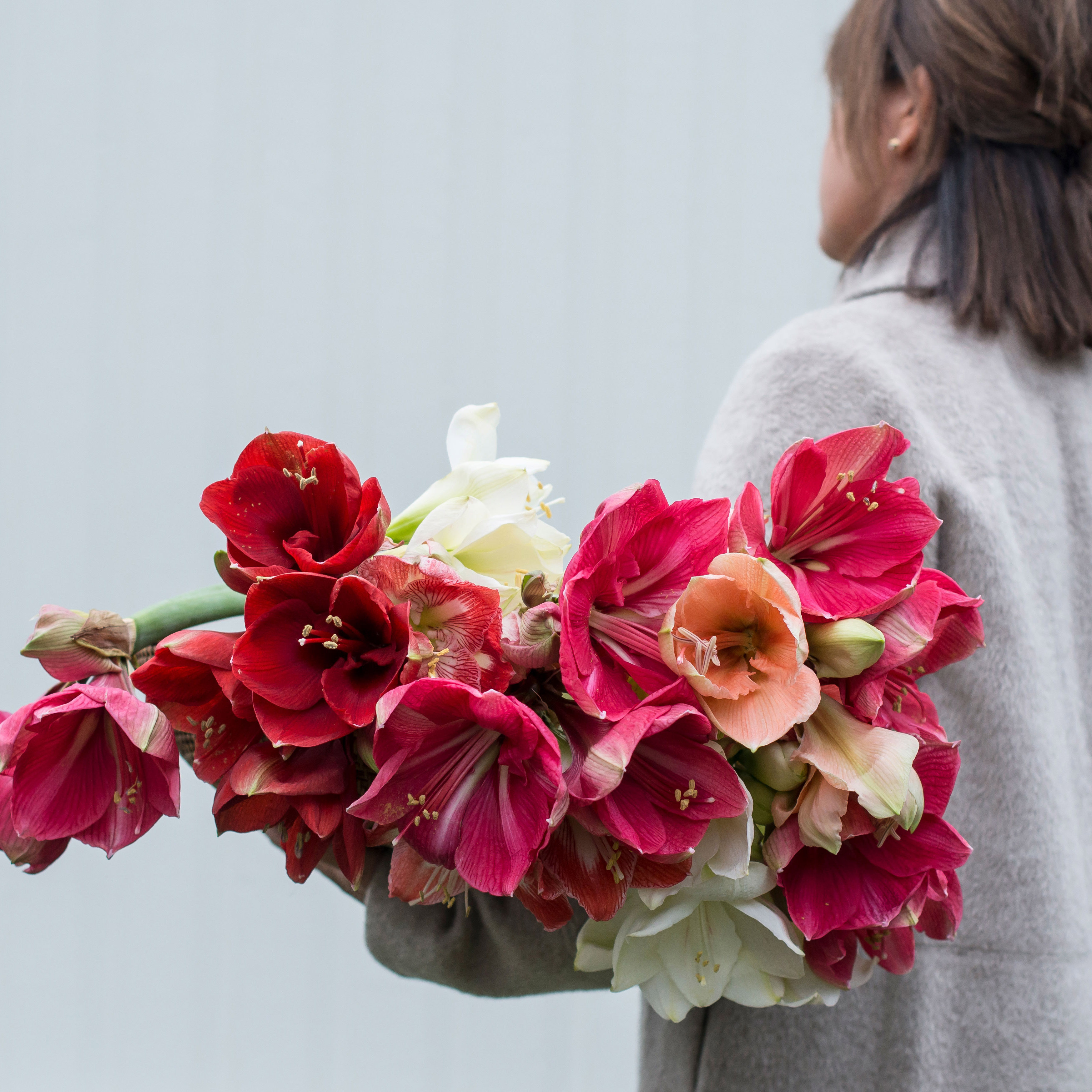 amaryllis-bukett-sq.jpg