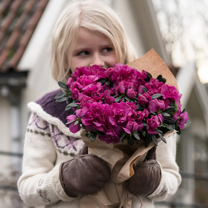 azalea-lyser-opp-i-vintermoerket-azalea-pernille-lukter-.jpg