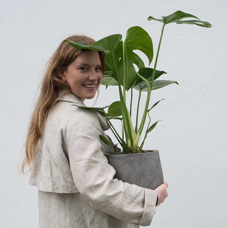 groenne-planter-monstera-vindusblad-3.jpg