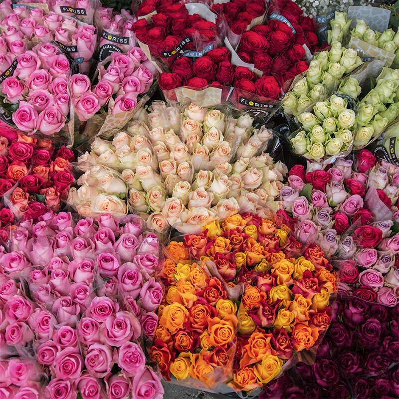 roser-rosekort-kundeklubb-floriss-3.jpg