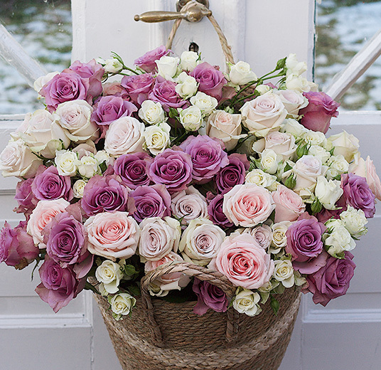 pastellfarget-rosedroem-4-floriss.jpg