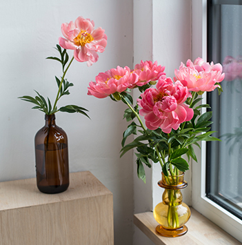 peoner-i-glassflaske-og-vase.jpg