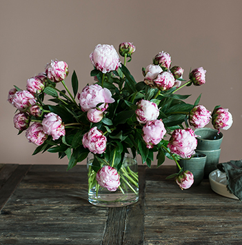 sarah-bernhardt-peoner-bukett-i-glassvase-paa-bordet.jpg