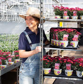 blomster-dyrket-i-norge-gartneri-stativ-potteplanter.jpg