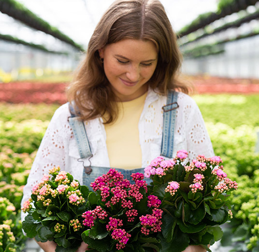 potteplanter-i-gartneriet-2.jpg