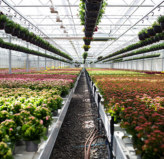 potteplanter-i-gartneriet-3.jpg