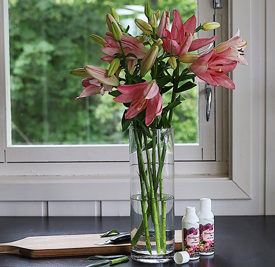 holdbarhetsmiddel-glassvase-produkter-1.jpg