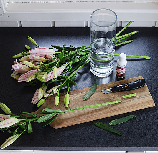 holdbarhetsmiddel-glassvase-produkter-snitt.jpg