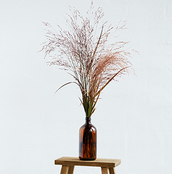 straa-floriss20924-floriss-hoest.jpg