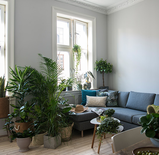 groenne-planter-dsc2337.jpg