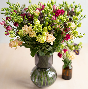 lisianthus-floriss.jpg