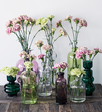 floriss-nellik-i-glassvaser-vaser-smaa-store-3-2021.jpg