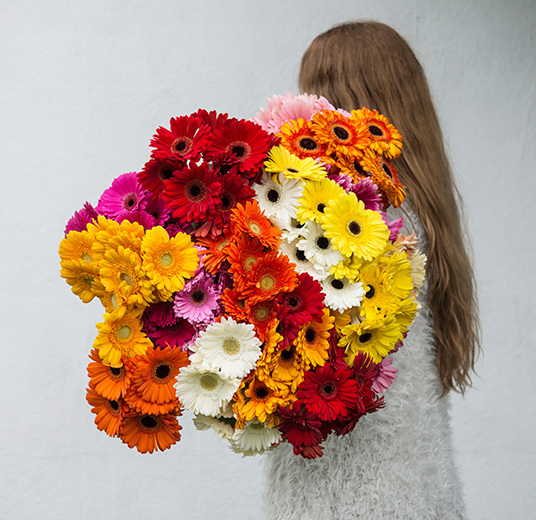 germini-allsidig-gledesspreder-3-floriss.jpg