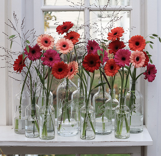germini-allsidig-gledesspreder-4-floriss.jpg