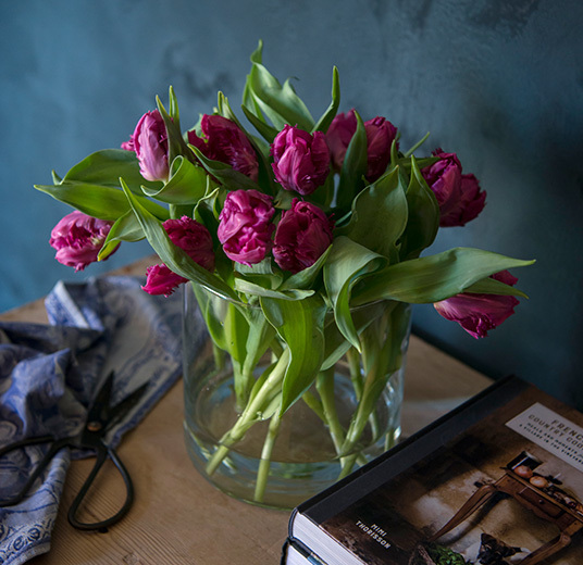 interiortulipaner-1-interior-tulipaner-2022-floriss.jpg