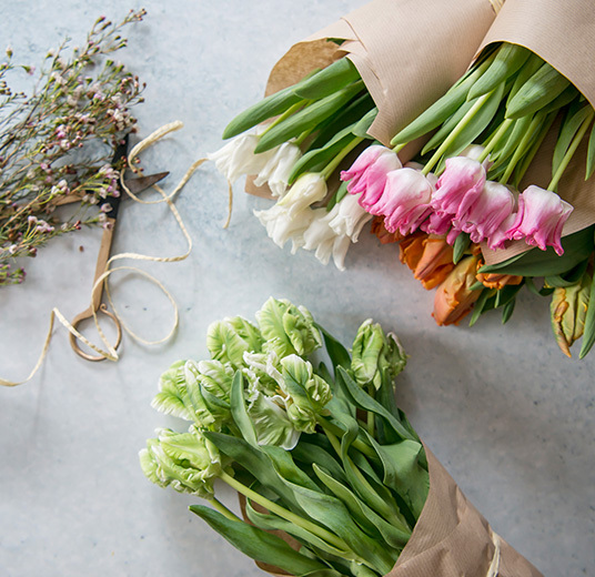 interiortulipaner-2-interior-tulipaner-2022-floriss.jpg