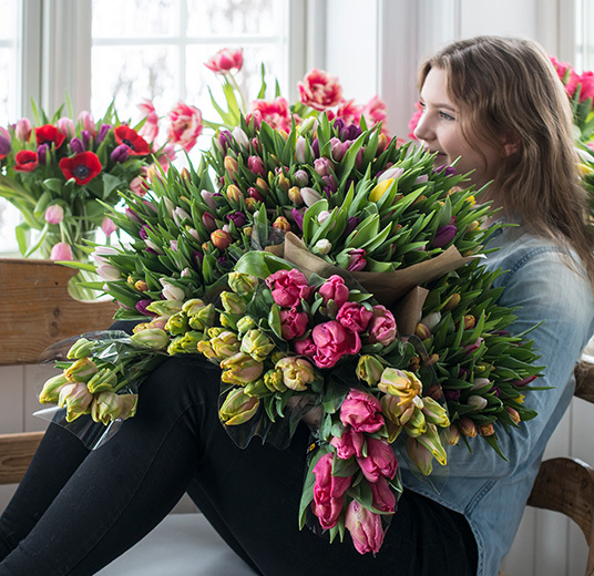tulipaner-miks-1-norske-tulipaner-ny-2022-floriss.jpg