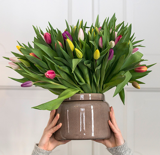 tulipaner-miks-8-norske-tulipaner-ny-2022-floriss.jpg