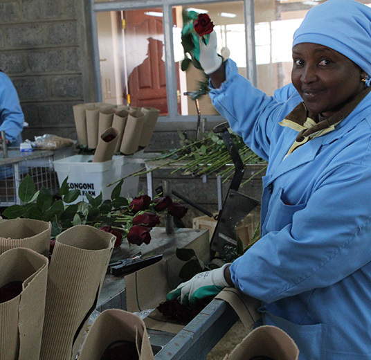 roser-fra-kenya-3-roser-med-mening-ny-2022-floriss.jpg