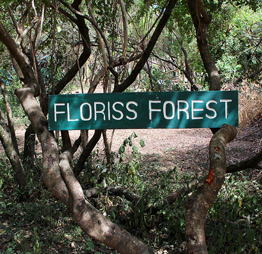 basecamp-2022-5-floriss.jpg