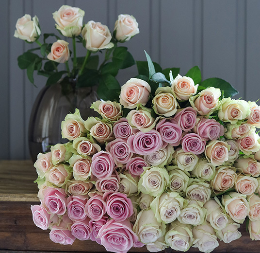pastellfargede-roser-5-floriss.jpg
