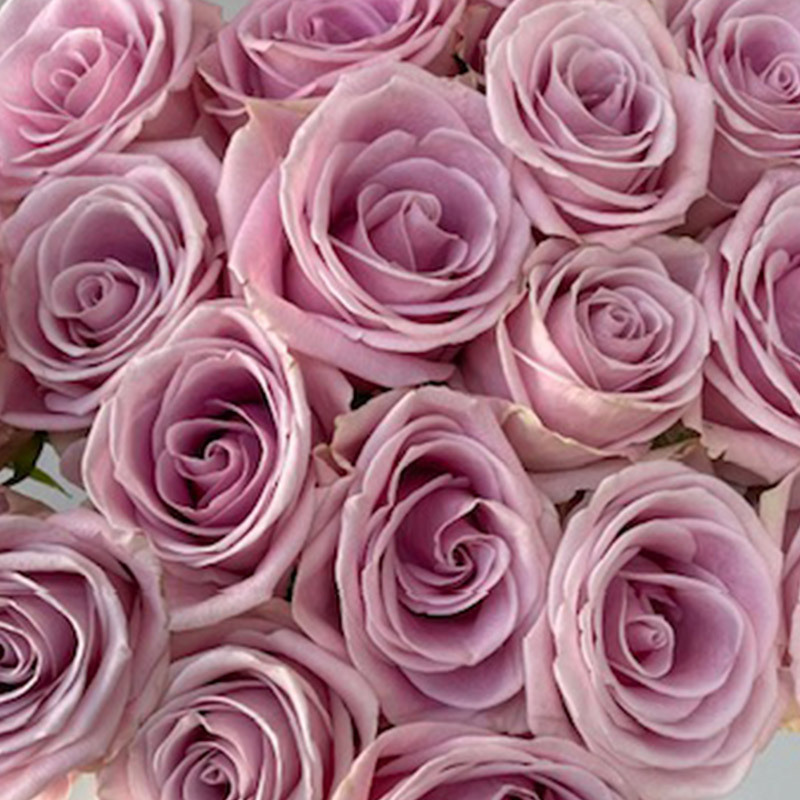 lena-roser-floriss.jpg